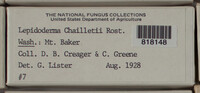 Image Associated With the Occurence